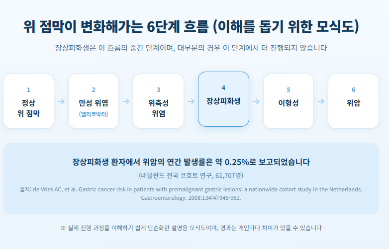 수원 위축성위염 위 점막이 변화해가는 6단계 흐름